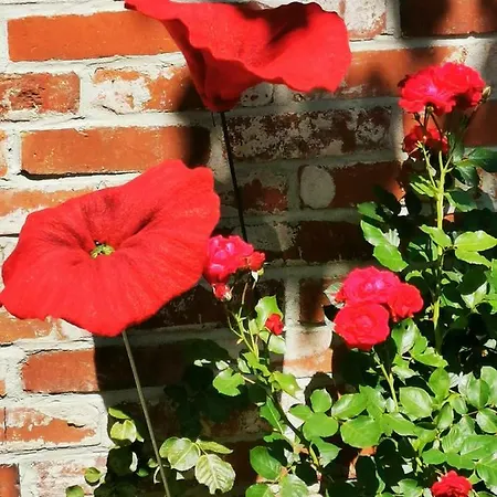 Maison Winstub